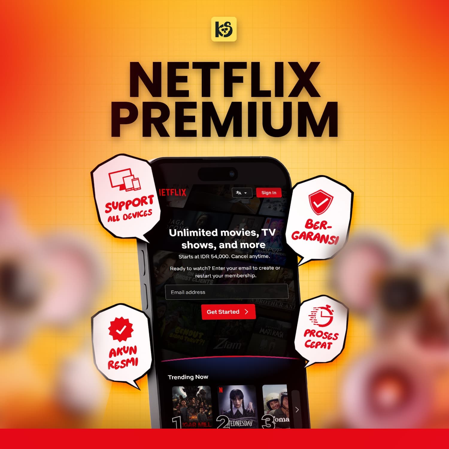 NETFLIX PREMIUM